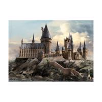 Fototapeta dla dzieci Harry Potter Hogwarts 252 x182 cm, 4 części