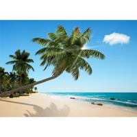 Fototapeta plaża XXL 360 x 254 cm, 4 części