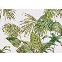Fototapeta XXL Fern 360 x 254 cm, 4 części