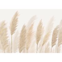 Fototapeta XXL Pampas 360 x 254 cm, 4 części
