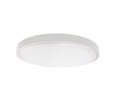 LED Zewnetrzny plafon z czujnikiem LED/24W/230V 6500K IP44 biały