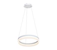 LED Żyrandol na lince RING LED/24W/230V