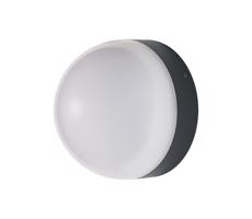Ledvance - LED Kinkiet zewnętrzny ENDURA LED/12W/230V IP44