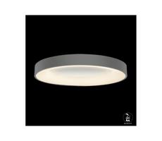 LUXERA 18400 - LED Plafon ściemnialny GENTIS 1xLED/50W/230V