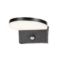 Rabalux 77119 kinkiet zewnętrzny z czujnikiem LED Batida, czarny, czarny