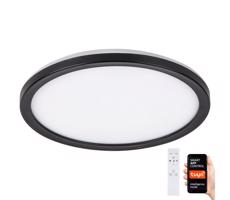 Rabalux 7774-LED Ściemniana lampa zewnętrzna LED/15W/230V Wi-Fi Tuya IP44 + pilot