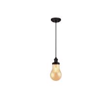 Westinghouse 63370 - Żyrandol na lince 1xE27/40W/230V